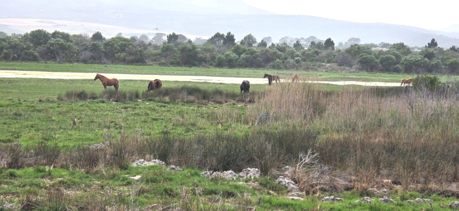 Commercial Property for Sale in Flamingo Bay Western Cape